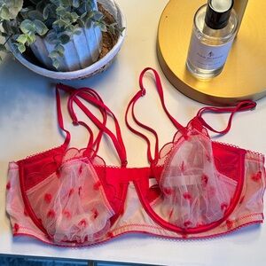 NWOT VS sheer nude and red bra, 36C